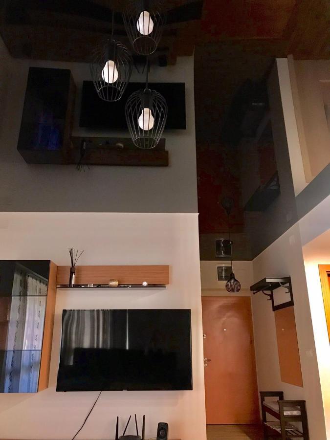 Criss Apartament Сіная Екстер'єр фото